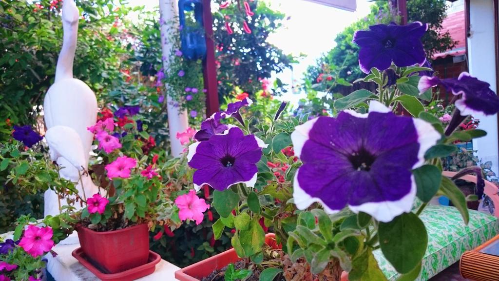 Hostal El Parque Tababela Zewnętrze zdjęcie